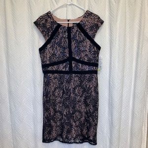 Navy blue Nightway sequined and lace dress